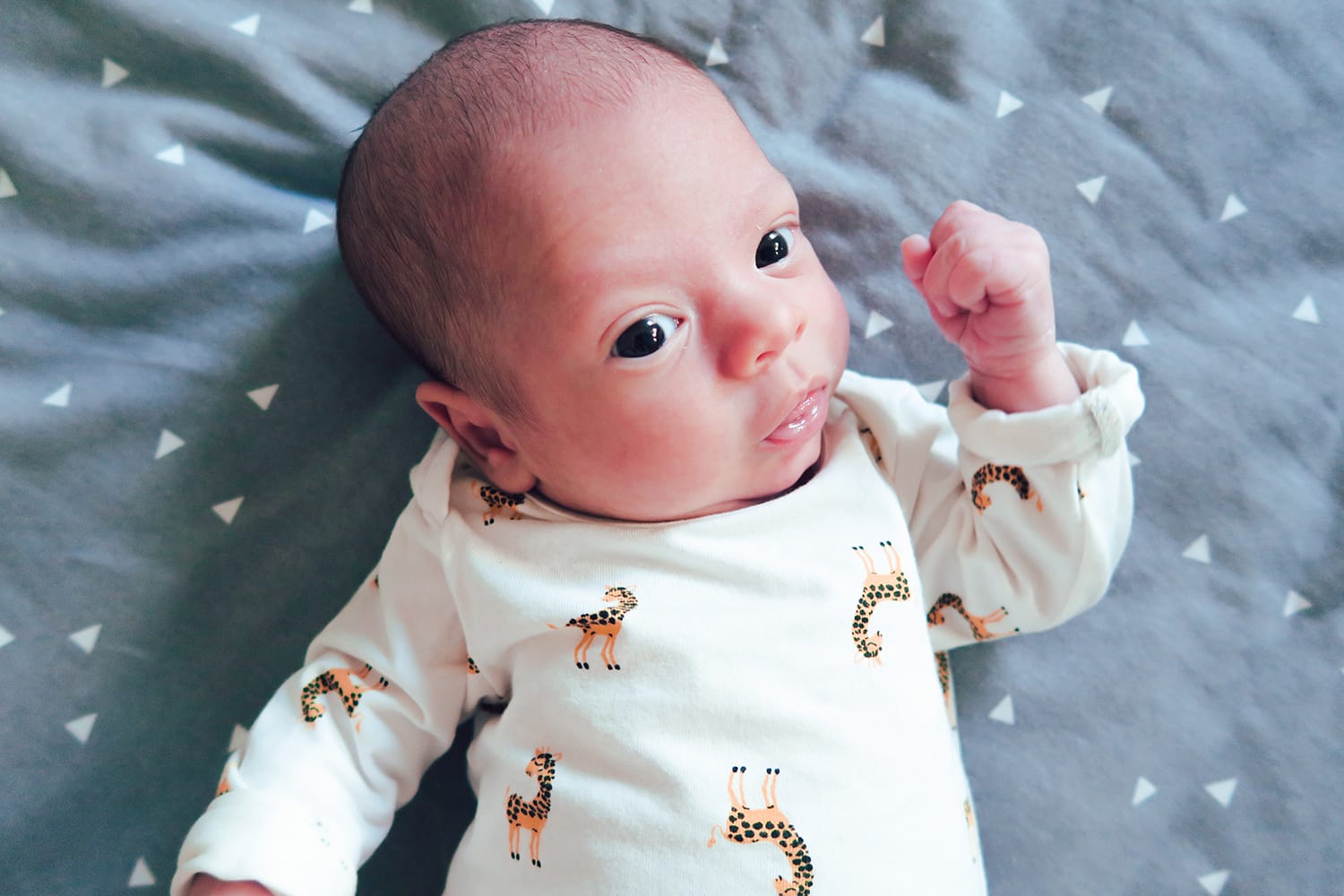 Der erste Monat mit Baby und unendlich viel Liebe | Familienleben | Geburt & Schwangerschaft | Mutterschaft | Neue Eltern | Alltag mit Baby | Wochenbett | Elternzeit | Papa in Elternzeit | #baby #mama #familie #wochenbett | Mehr auf ivy.li