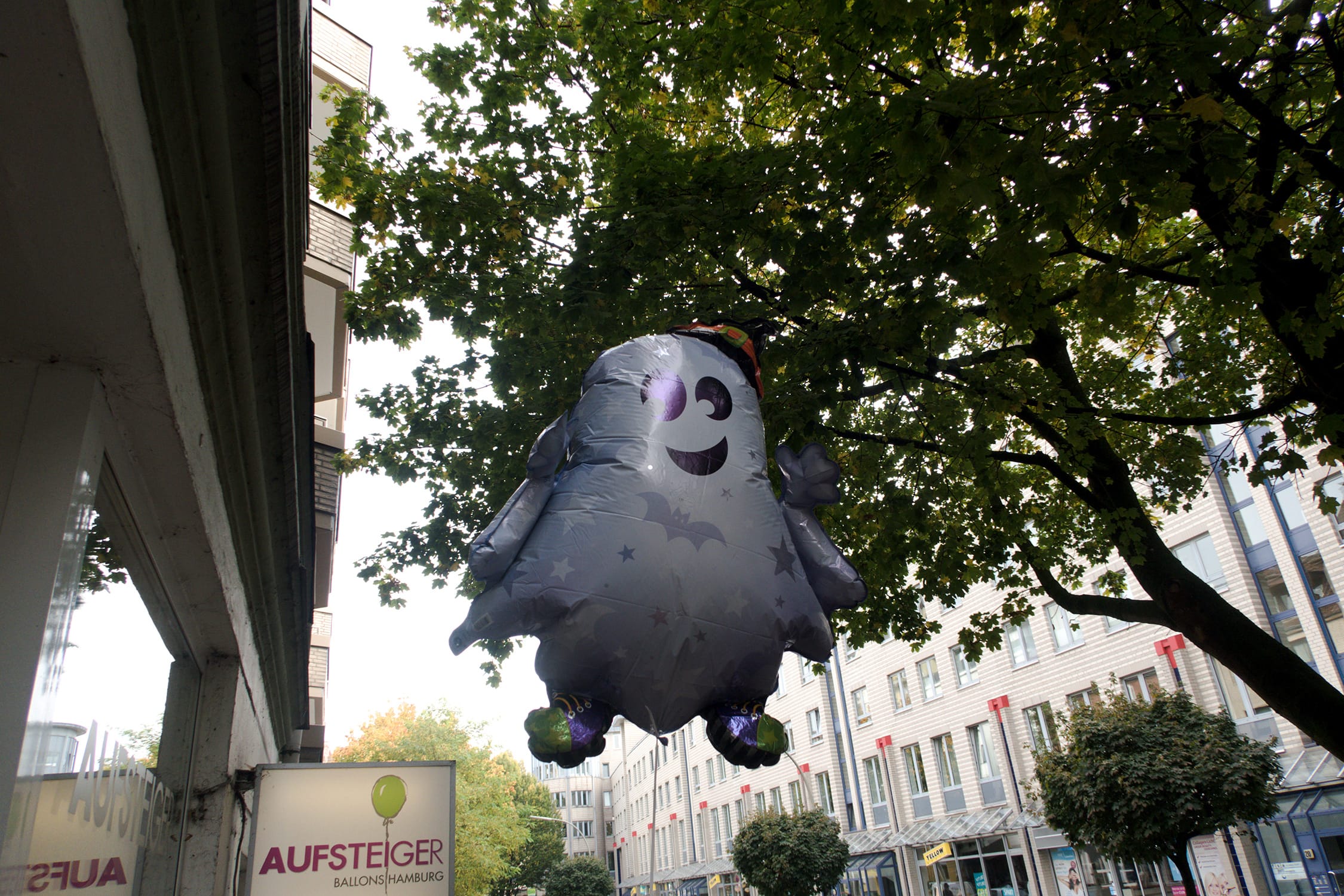 Wochenende in Bildern | 22. und 23. Oktober | ivy.li