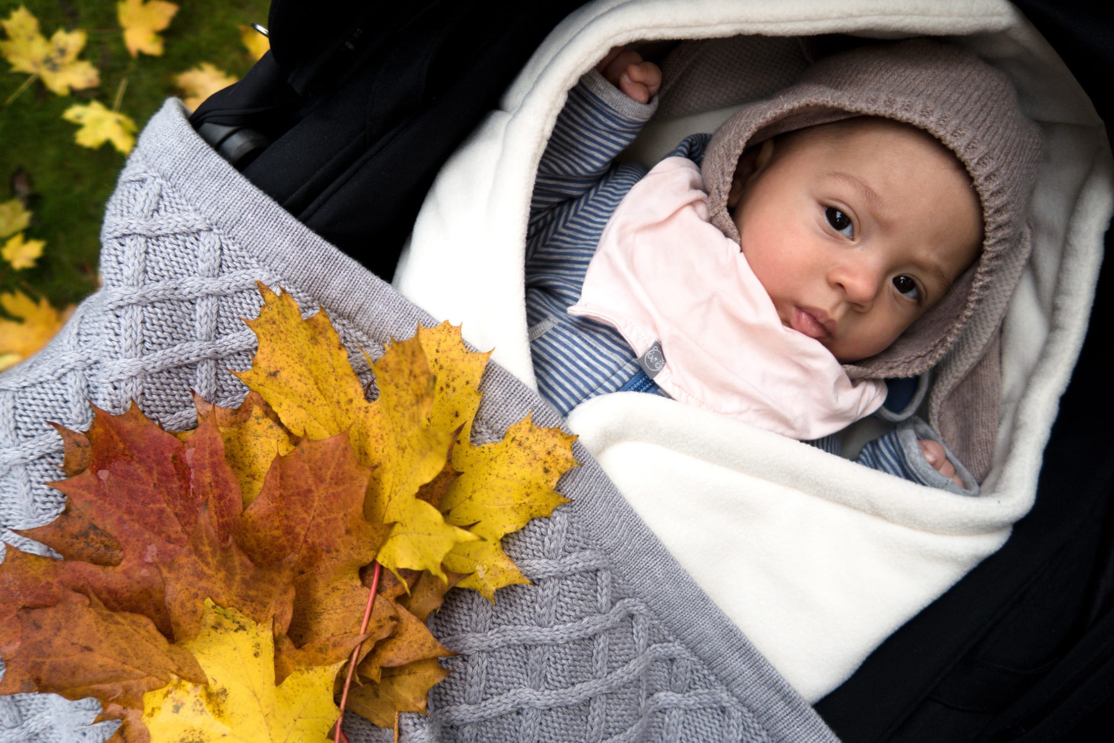 Wochenende in Bildern | 22. und 23. Oktober | ivy.li