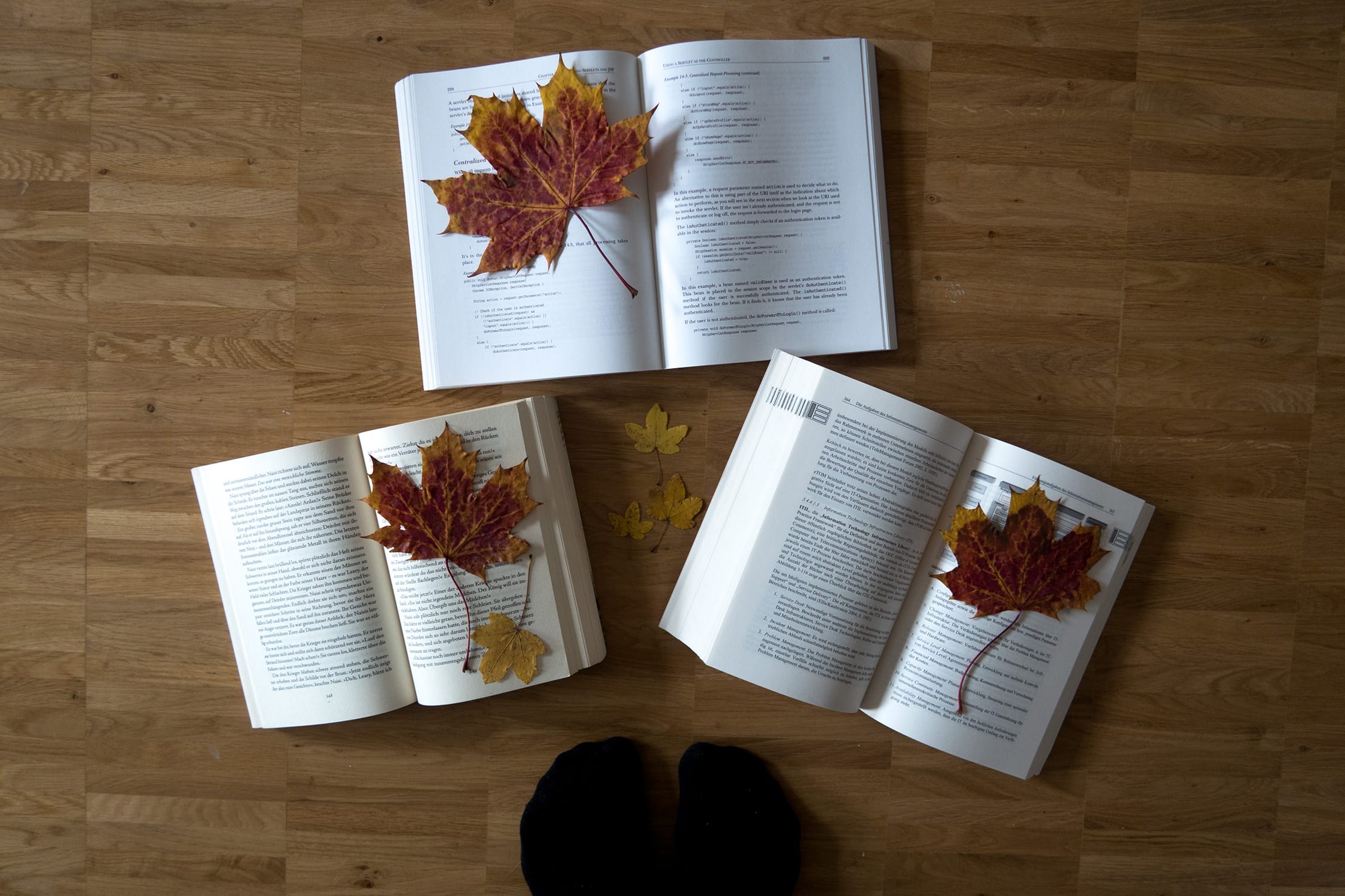 Wochenende in Bildern | 22. und 23. Oktober | ivy.li