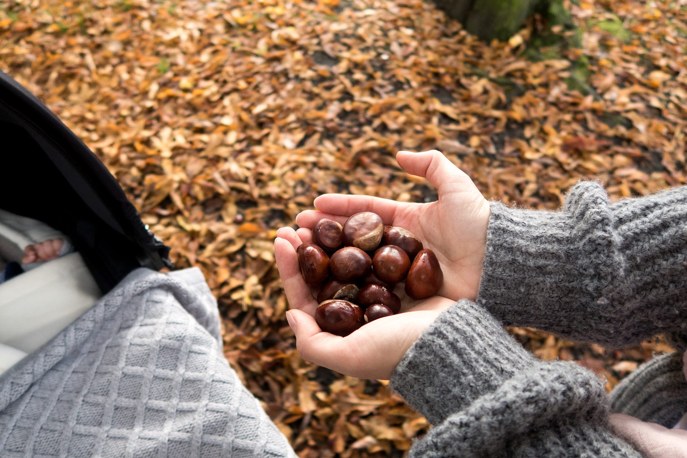 Wochenende in Bildern | 22. und 23. Oktober | ivy.li