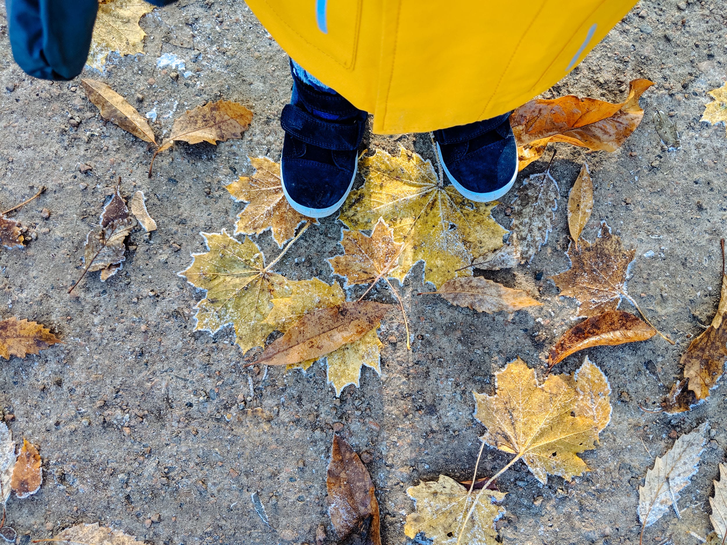 Wochenende in Bildern 17. und 18. November | Familienzeit zu viert