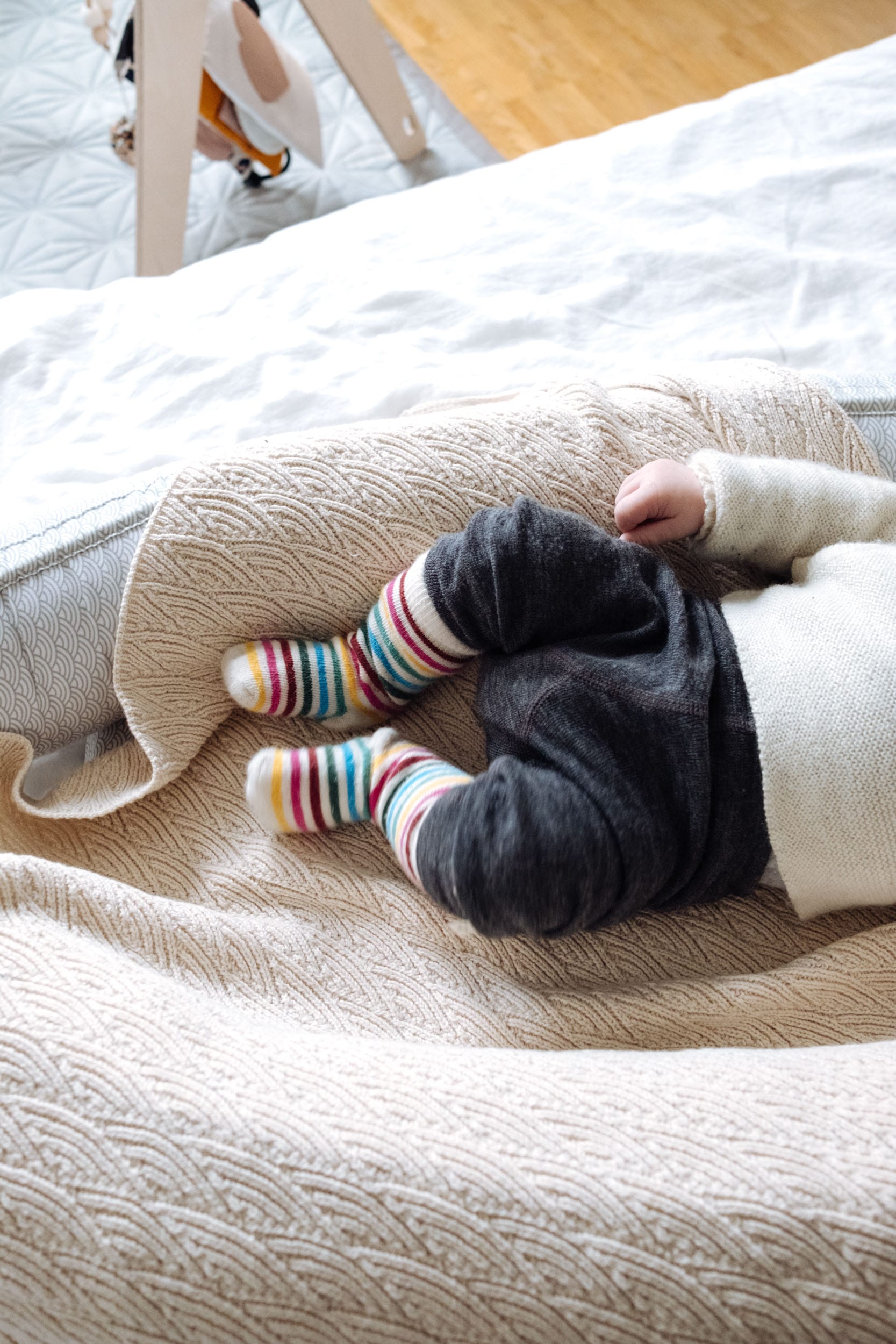 zuhause archive ivy li